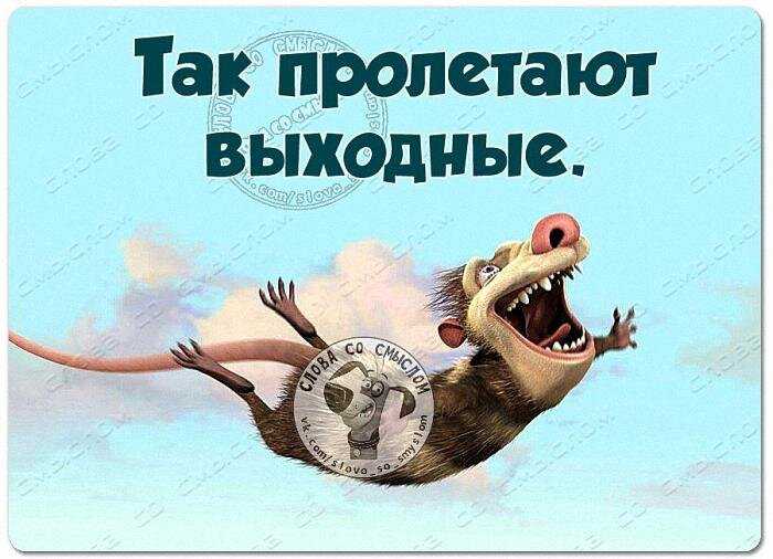 Статусы про воскресенье и понедельник. статусы про воскресенье