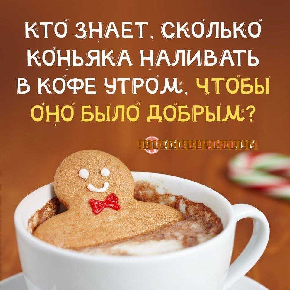 Анекдоты самые смешные и самые свежие