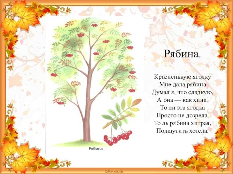 Стихи про осень и любовь современные