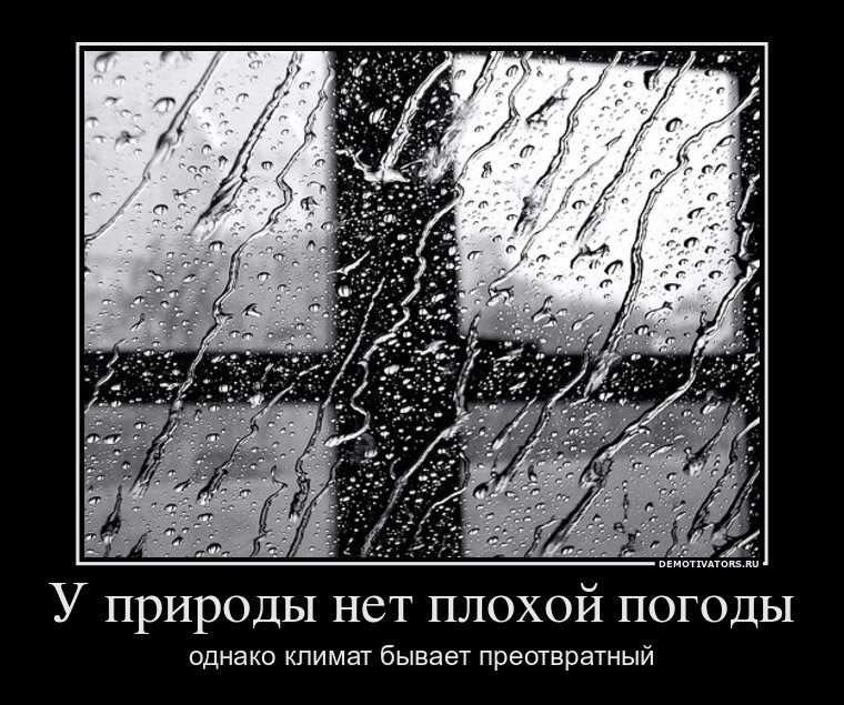 Статусы про осень