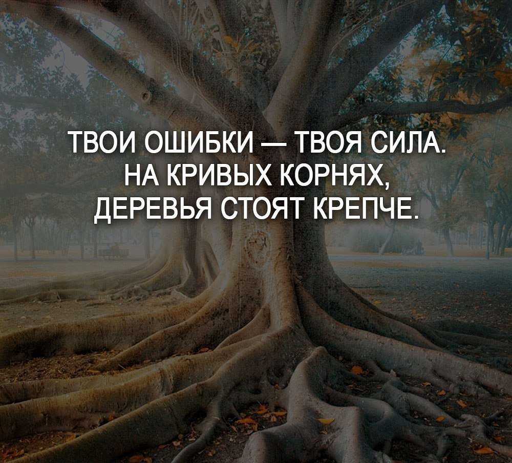 100 вдохновляющих цитат о новых начинаниях