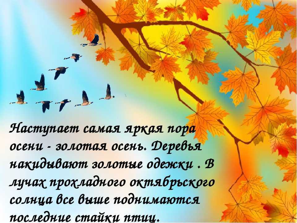 Стихи о дожде русских поэтов