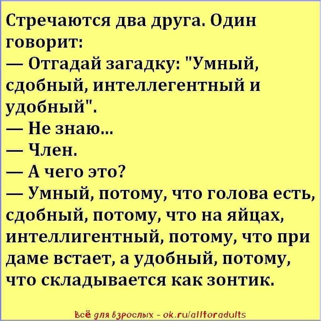 Остроумные анекдоты на все случаи жизни (самые смешные)