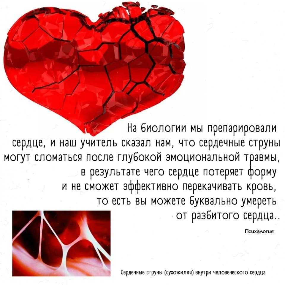 Всё начинается с мечты… красивые статусы про мечты и желания