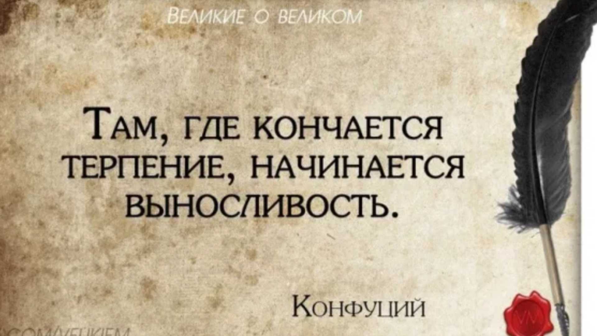 130+ цитат о скорости, которые заставят вас двигаться