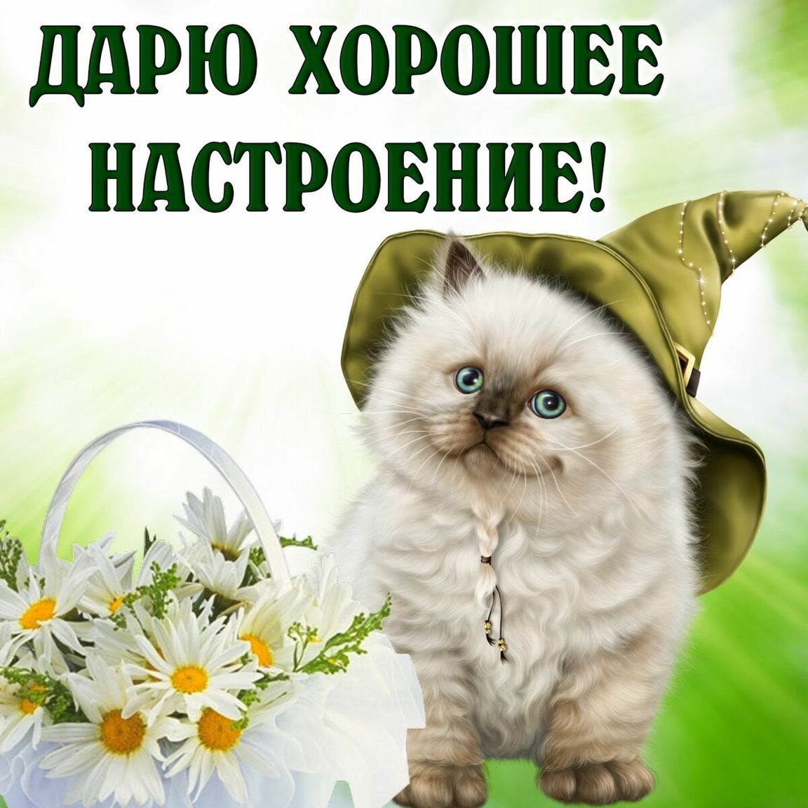 Пожелания хорошего дня — 140 лучших вариантов