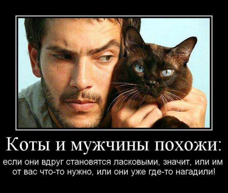 Короткие юмор, анекдоты, приколы про мужчин