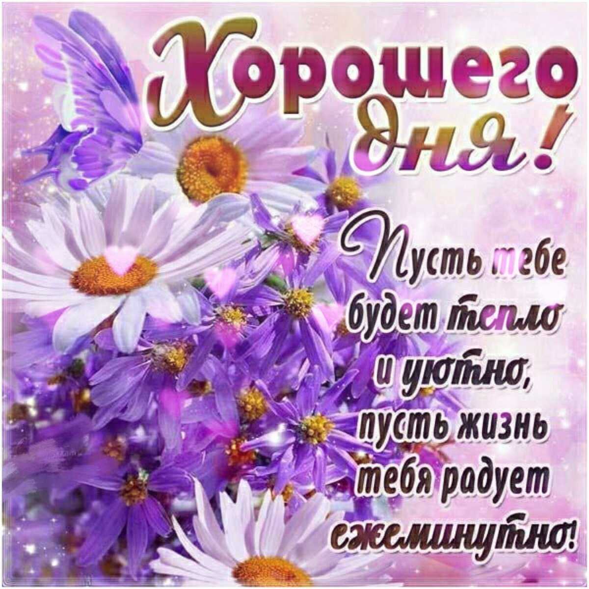 Цитаты про хорошее настроение в любую погоду