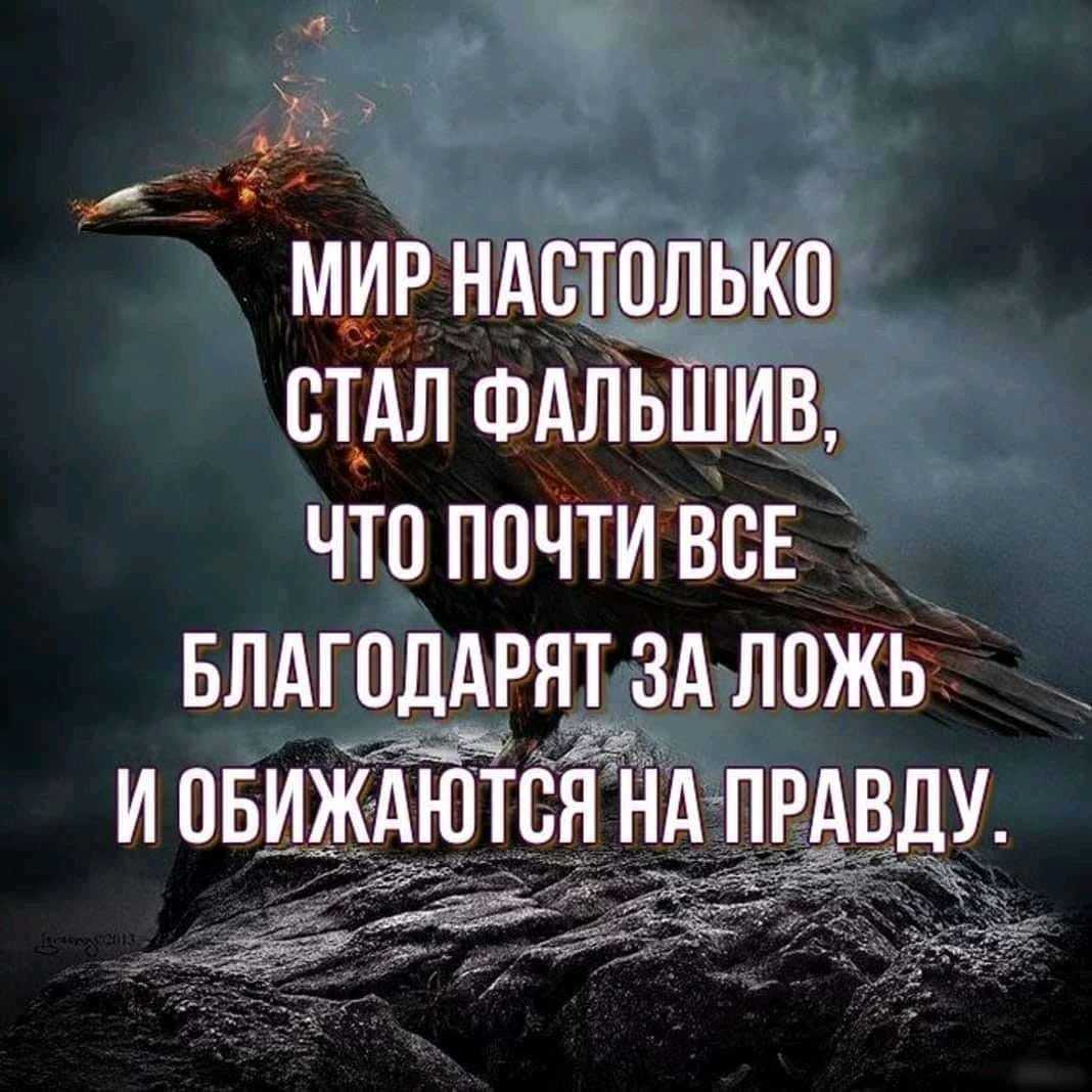 Поговорки про ложь и обман 2023