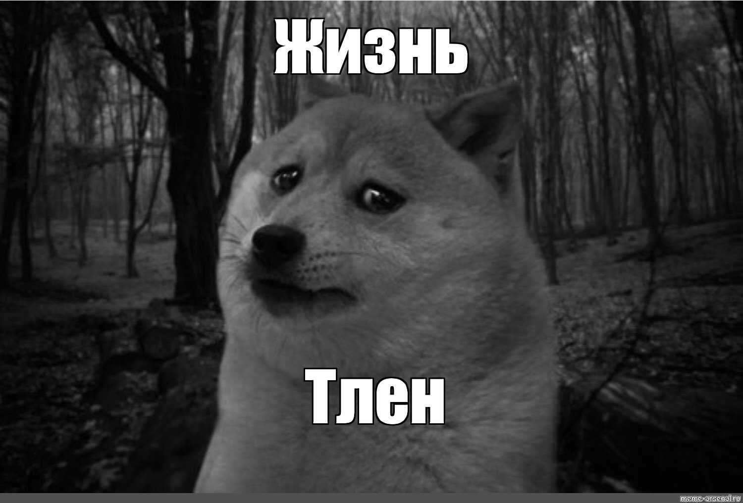 Красивые стихотворения известных поэтов и короткие стихи от пользователей сайта про ожидание чего-либо или кого-либо