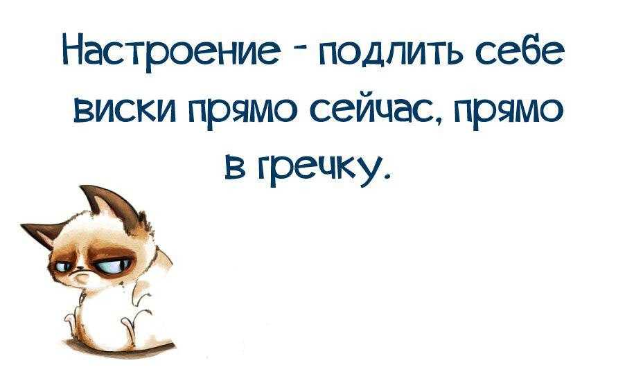 Афоризмы на английском языке: фразы о жизни, успехе, природе, учебе