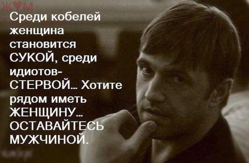 Мудрые и остроумные цитаты для статуса вконтакте