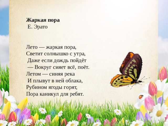 Красивые, короткие, душевные и смешные стихи про лето