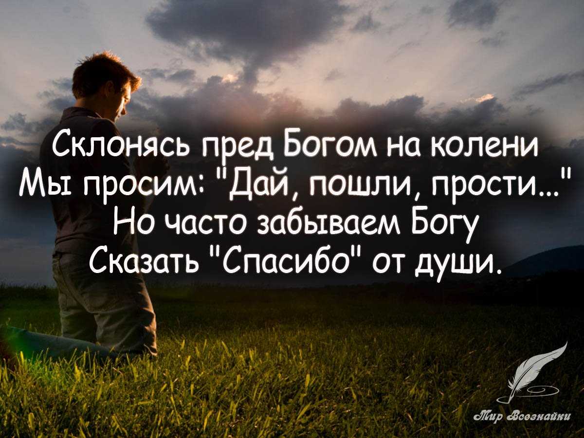Афоризмы мудрецов и цитаты великих людей про желания, стремления и мечты