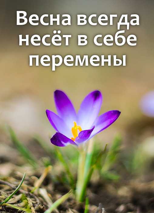 Цитаты и афоризмы о весне (красивые, про любовь, смешные, прикольные, статусы)