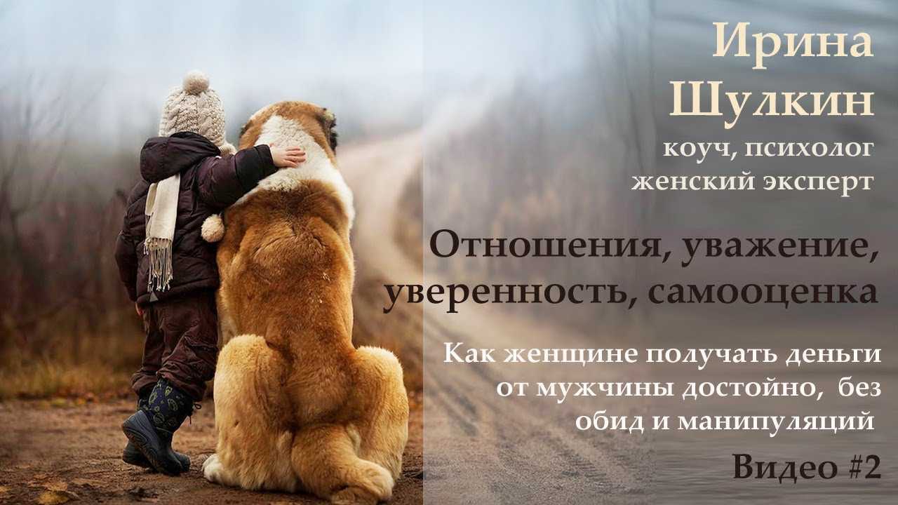 Красивые и трогательные стихи и открытки на всемирный день бездомных животных