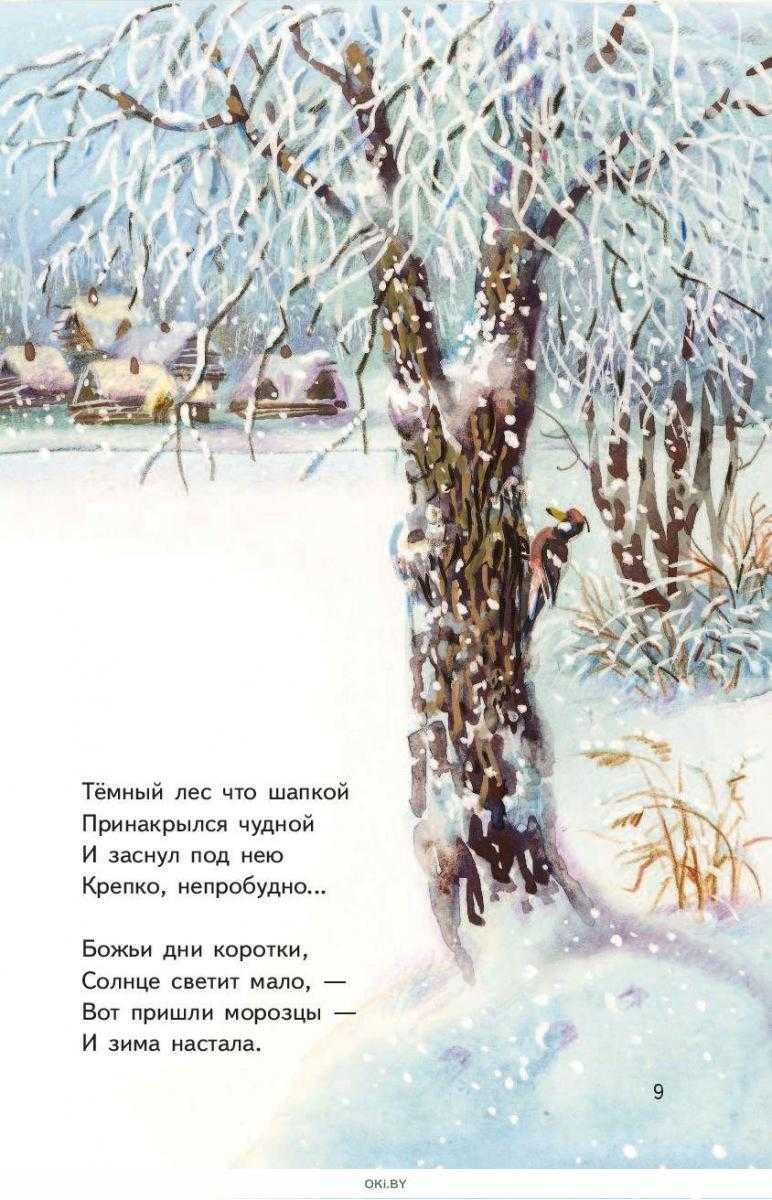 100 красивых стихов про зиму для детей: времена года