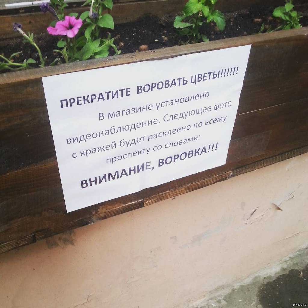 Воровство. большая книга афоризмов