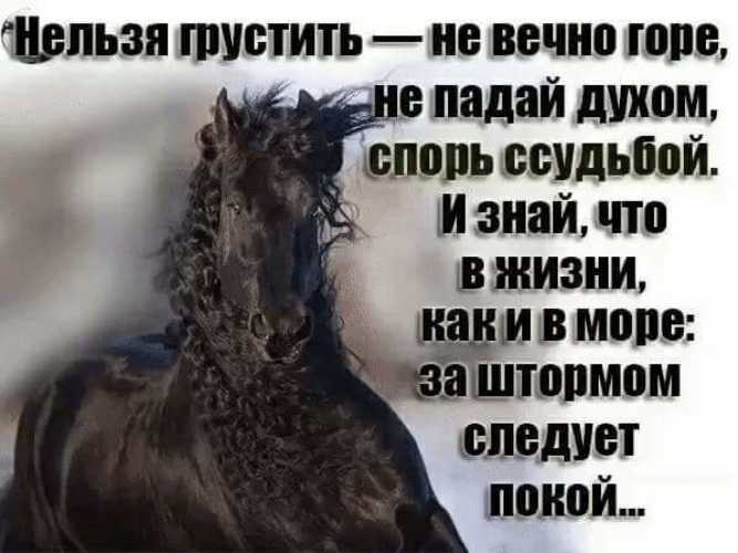Не падай духом цитаты