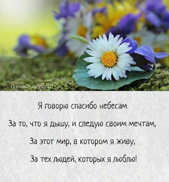 Что такое счастье в стихах кратко