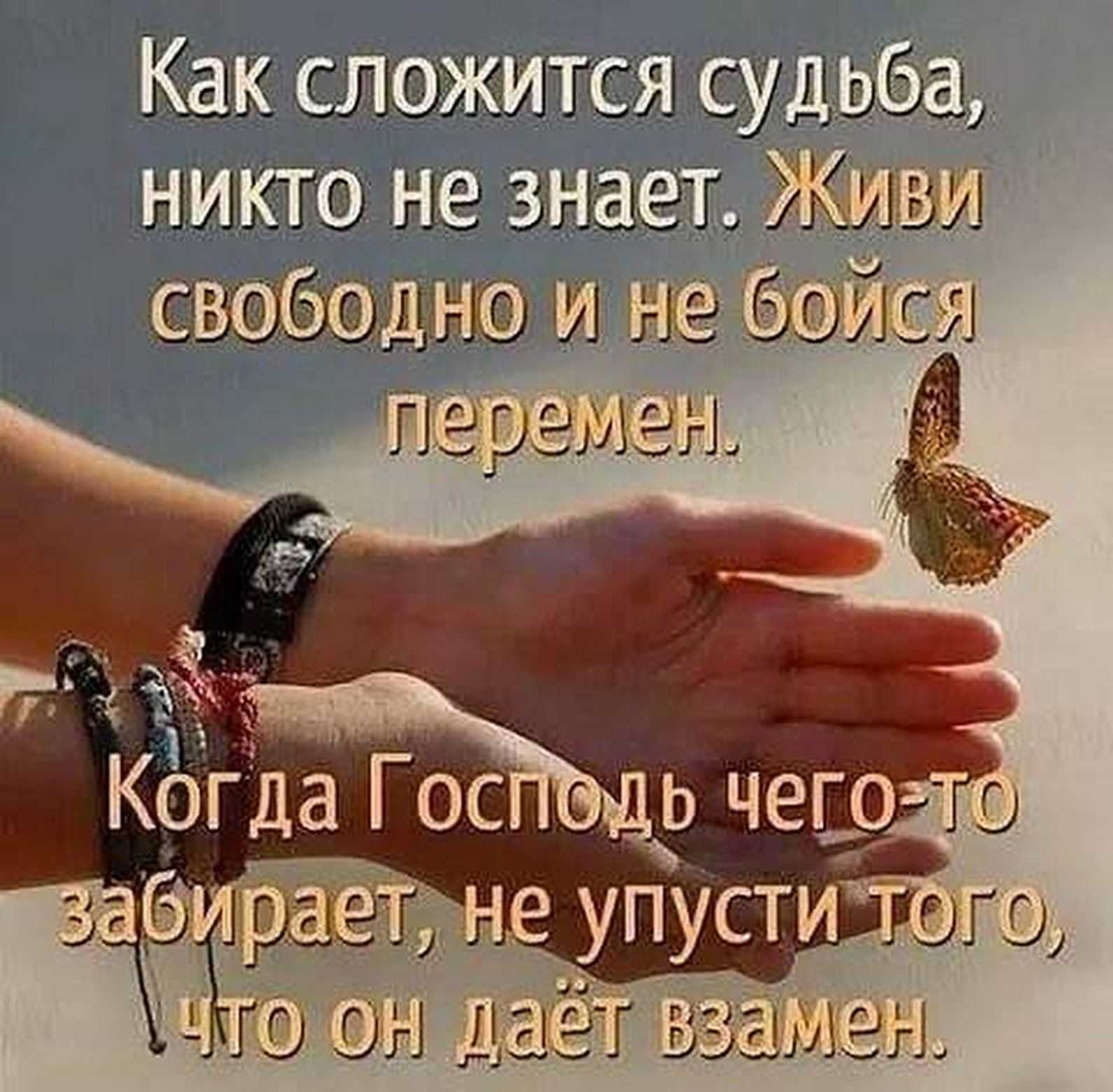 Прикольные статусы про судьбу — шутки юмора