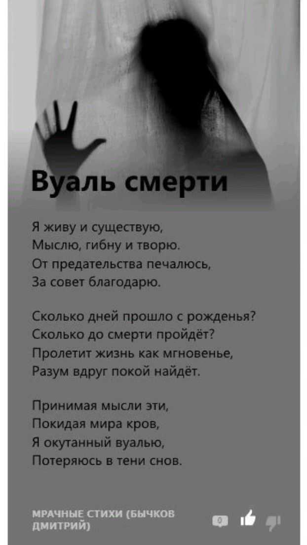 Стихи в память о кошке: я тебя никогда не увижу… - кот, пёс и я
