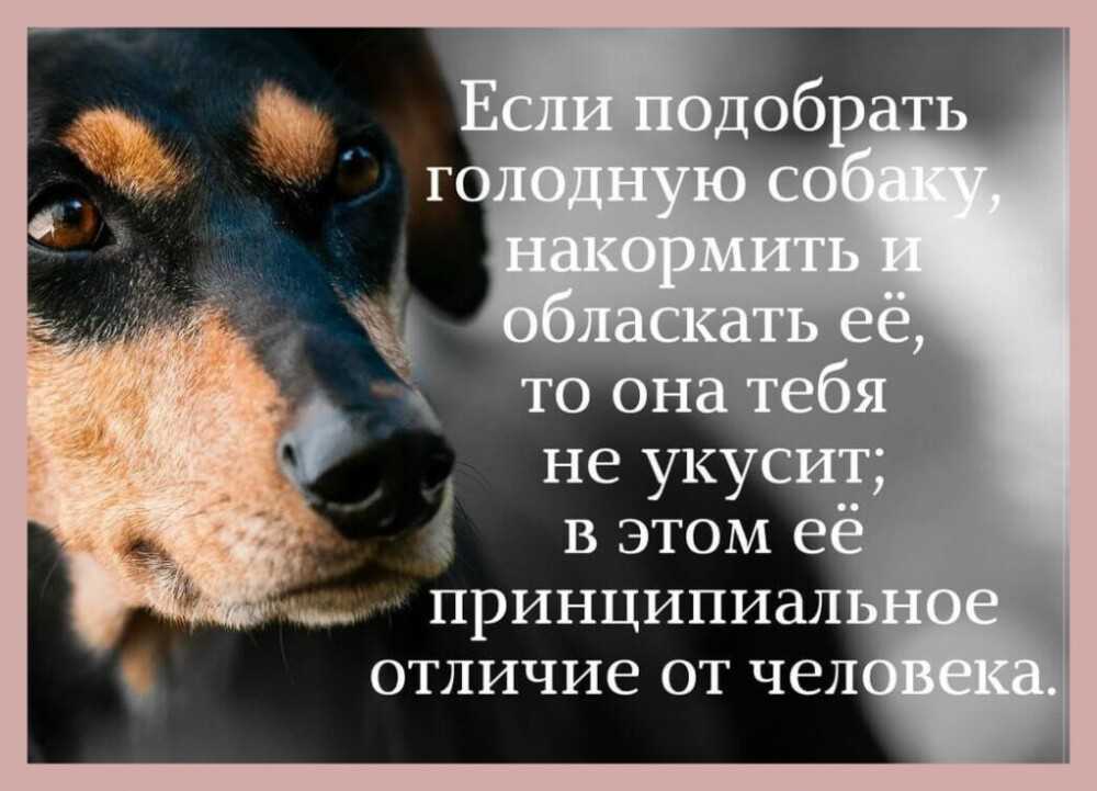 Статусы в одноклассниках: самые лучшие, смешные и мудрые