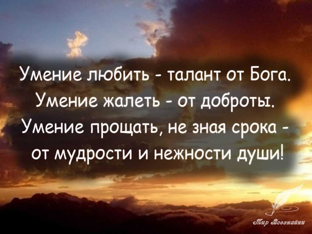 Статусы для социальных сетей, короткие высказывания, мудрые цитаты великих людей, а также фразы и мысли от пользователей сайта про извинения