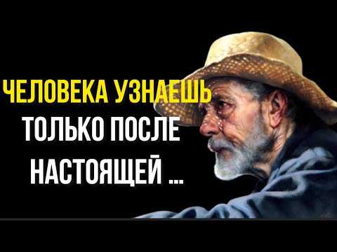 Книга пословицы и поговорки народов мира. часть 1 читать онлайн бесплатно, автор павел рассохин – fictionbook