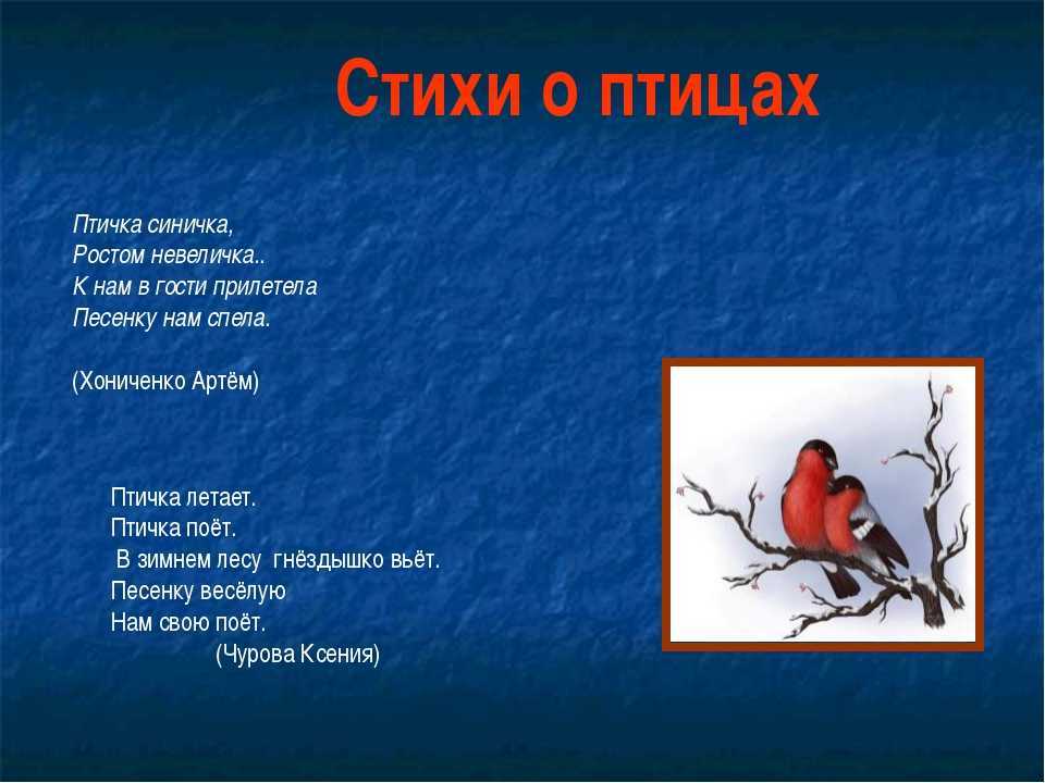 Пара белых кружит голубей. - светлана александровна евлахова