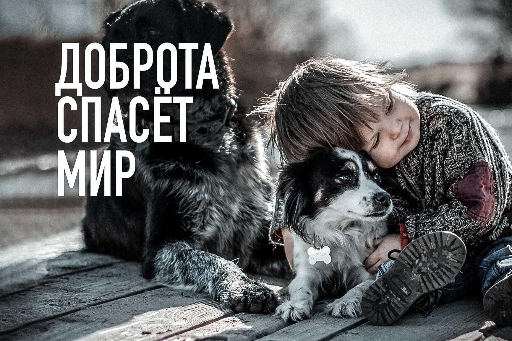 Высказывания о вежливости, доброте, зле и культуре поведения
