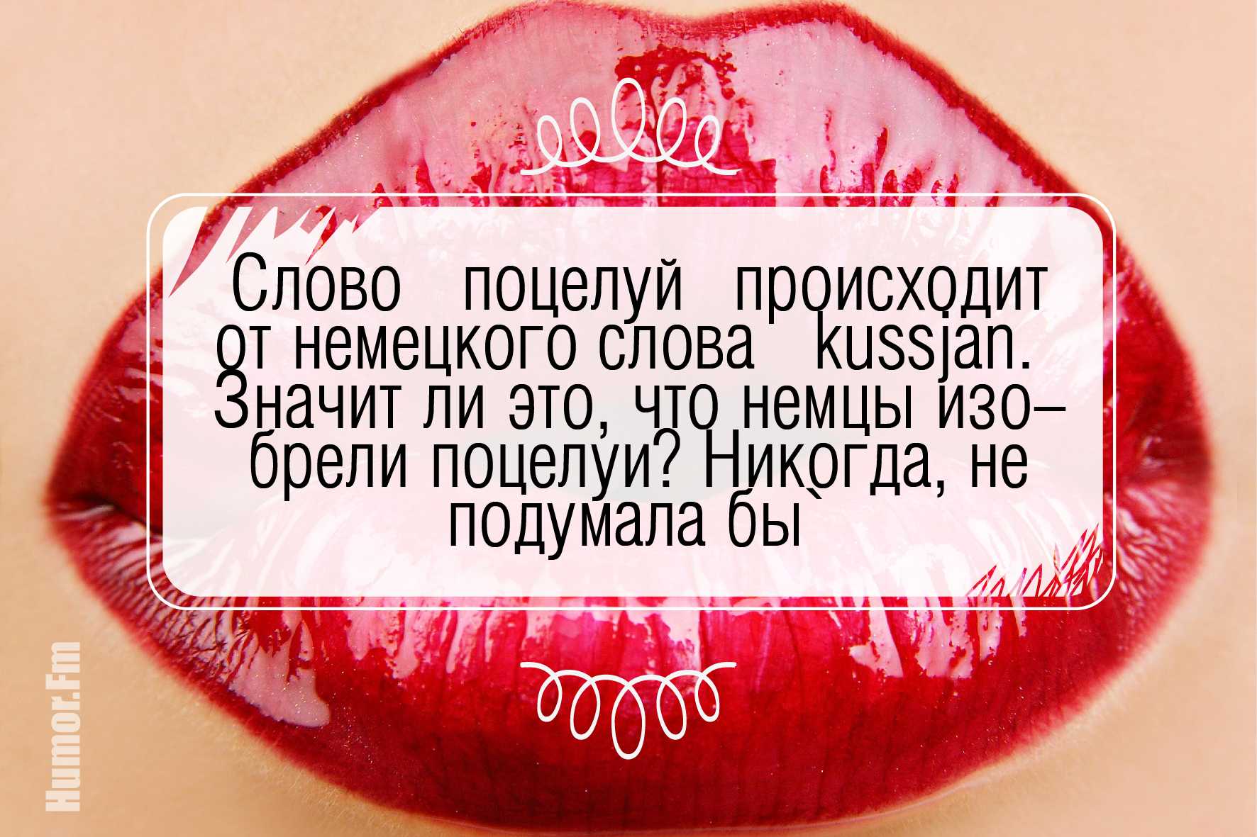 Мудрые и остроумные цитаты для статуса вконтакте