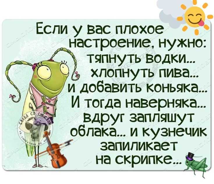 Короткие позитивные статусы — шутки юмора