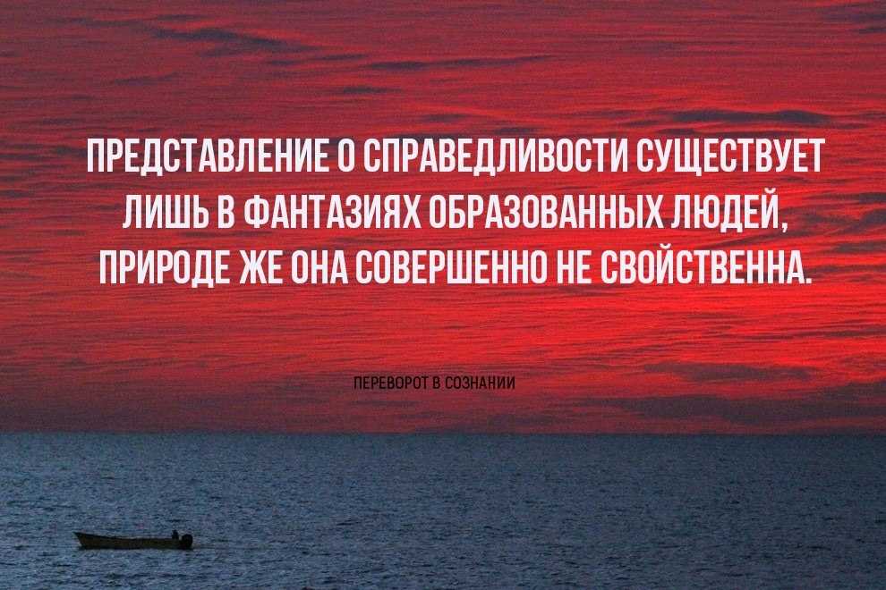 Мудрые мысли великих людей: афоризмы и цитаты