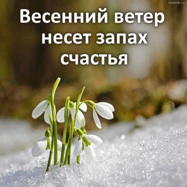 Короткие высказывания пользователей сайта и цитаты великих людей, подходящие для статуса в социальных сетях, о ожидании весны