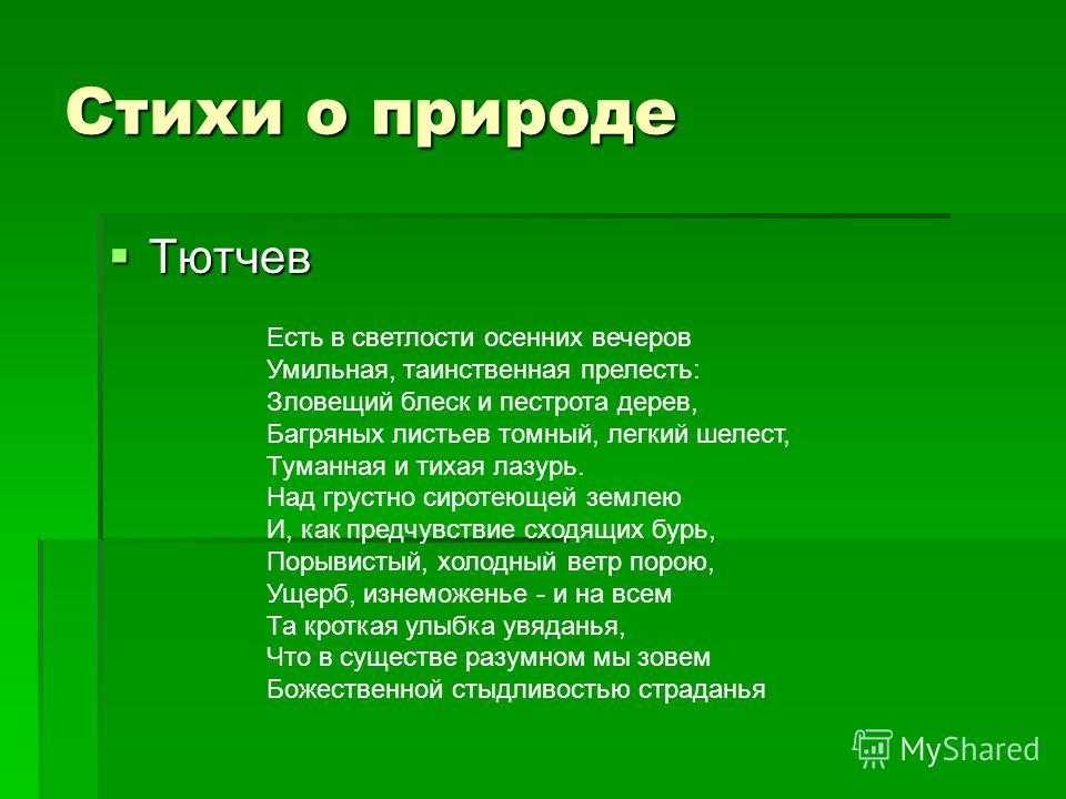 Короткие стихи о природе. детские и взрослые стихотворения современных поэтов.