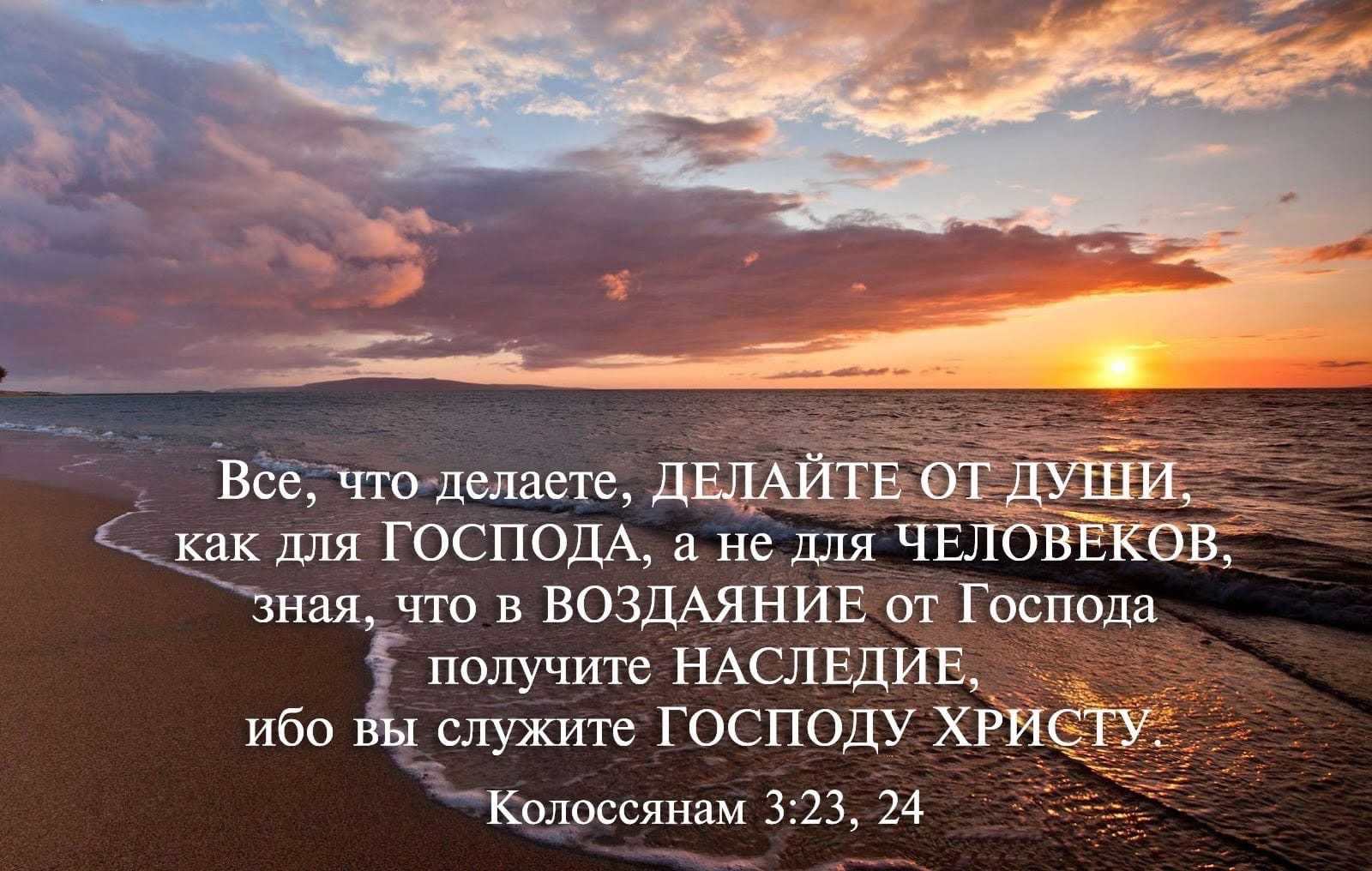 О молодости и старости