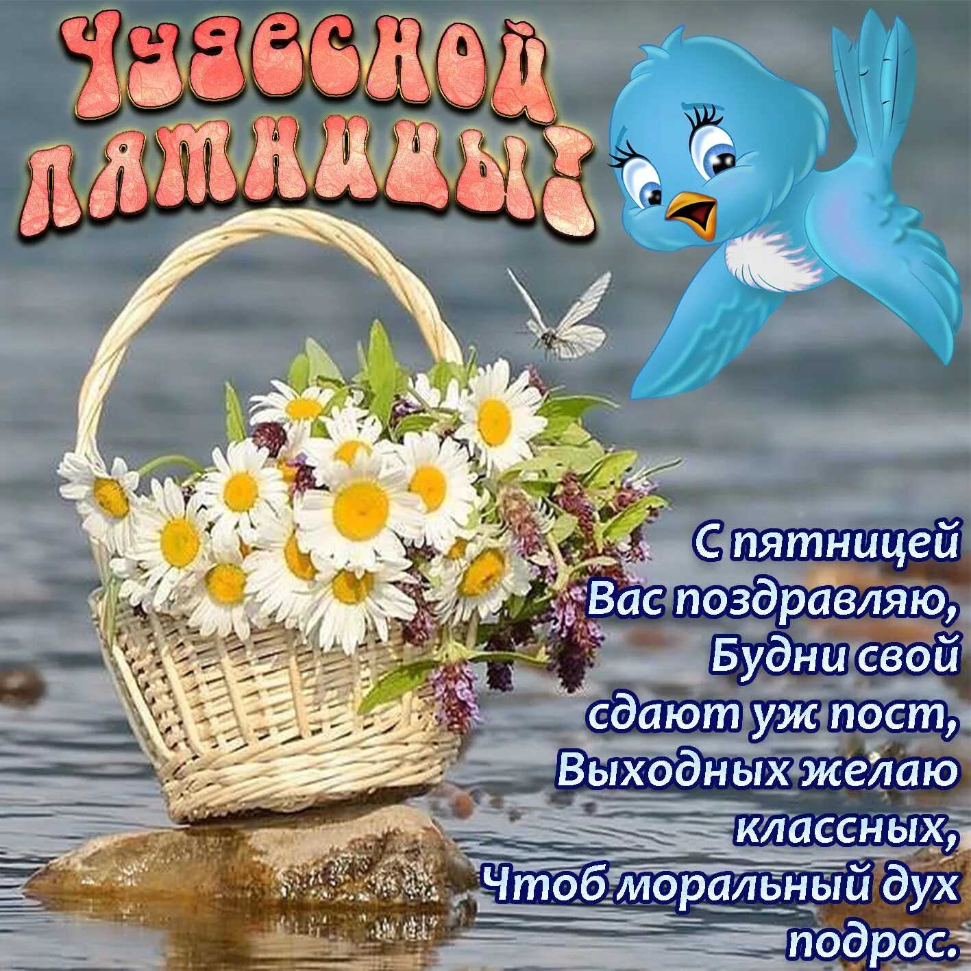 Прикольные стихи про пятницу