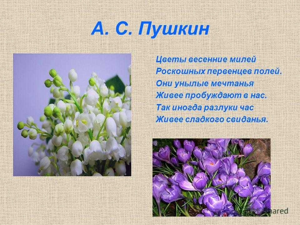 Стих про природу короткие для детей: стихи о природе для детей русских и современных поэтов – всё о детях – беременность, воспитание, уроки для детей