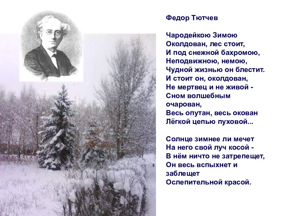 Стихи про зиму для детей и взрослых | rl разные люди