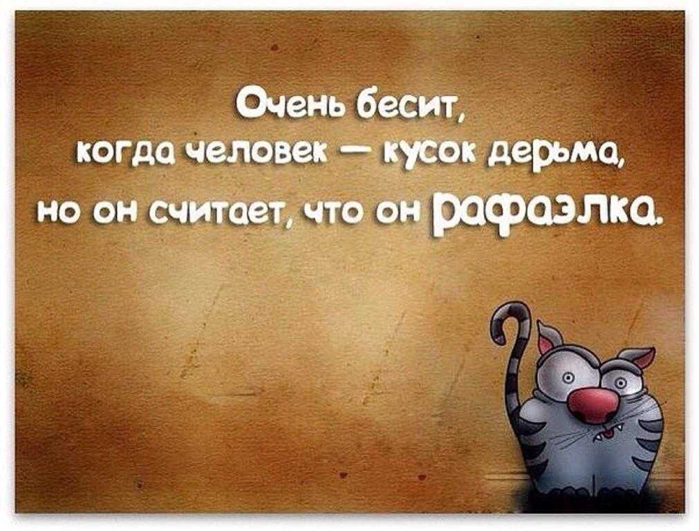 Жизнь надо прожить так, чтобы об этом знал google. смешные, прикольные статусы про жизнь