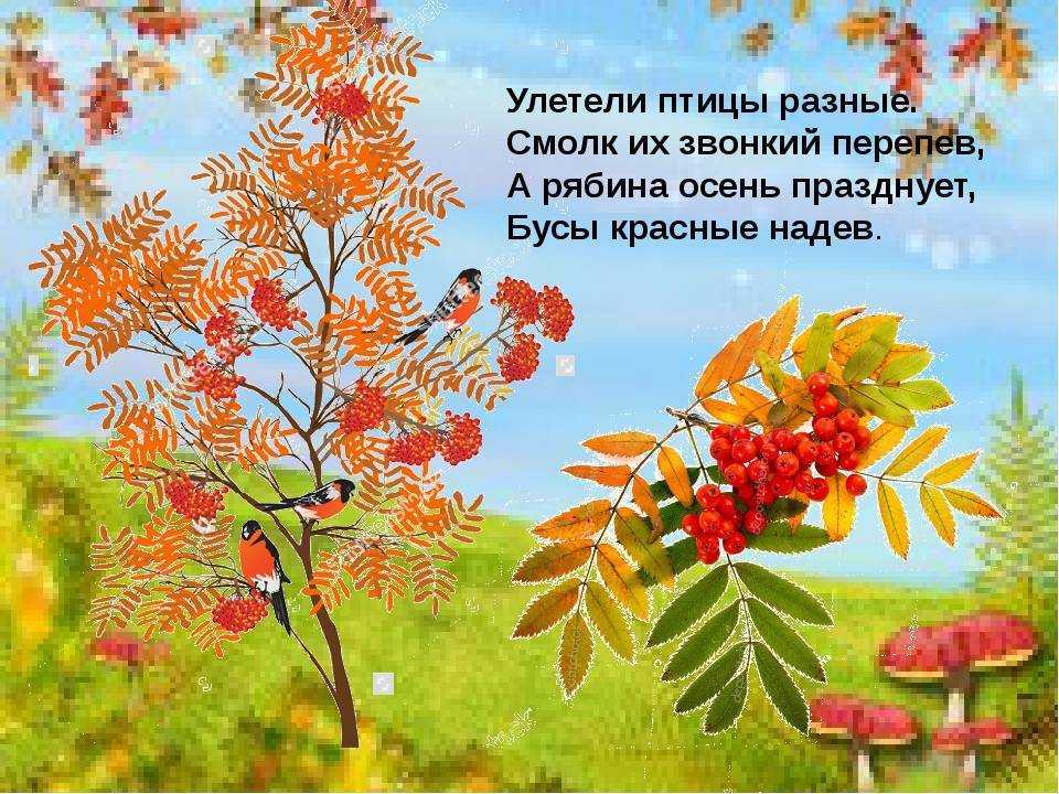 Стихи про осень: короткие и красивые стихотворения об осени для дошкольников