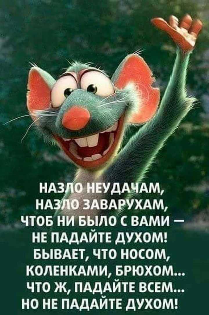 Стихи о радости | стихи классиков
