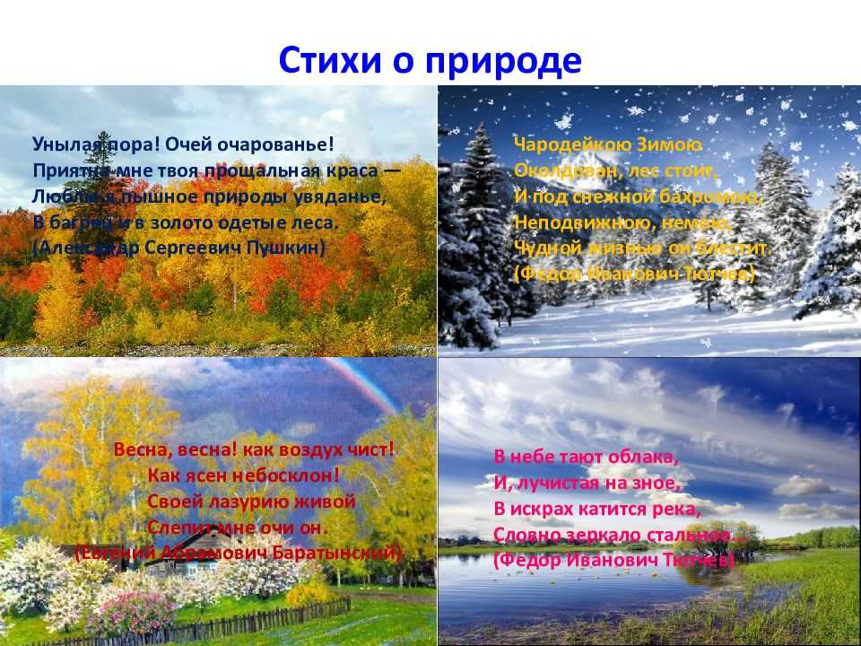 Стихотворение о разных временах года. Стихи о природе. Стих на тему природа. Стихи о природе короткие. Короткое стихотворение о природе.