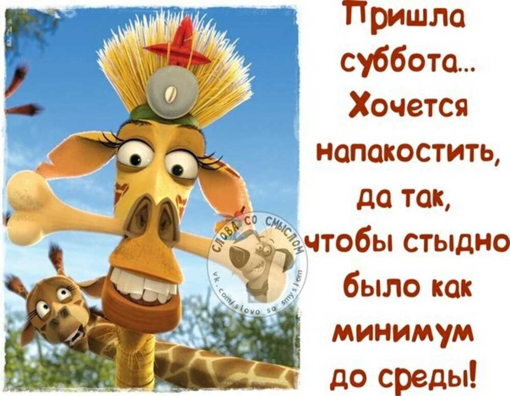Пожелания доброго субботнего утро | поздравления с субботой