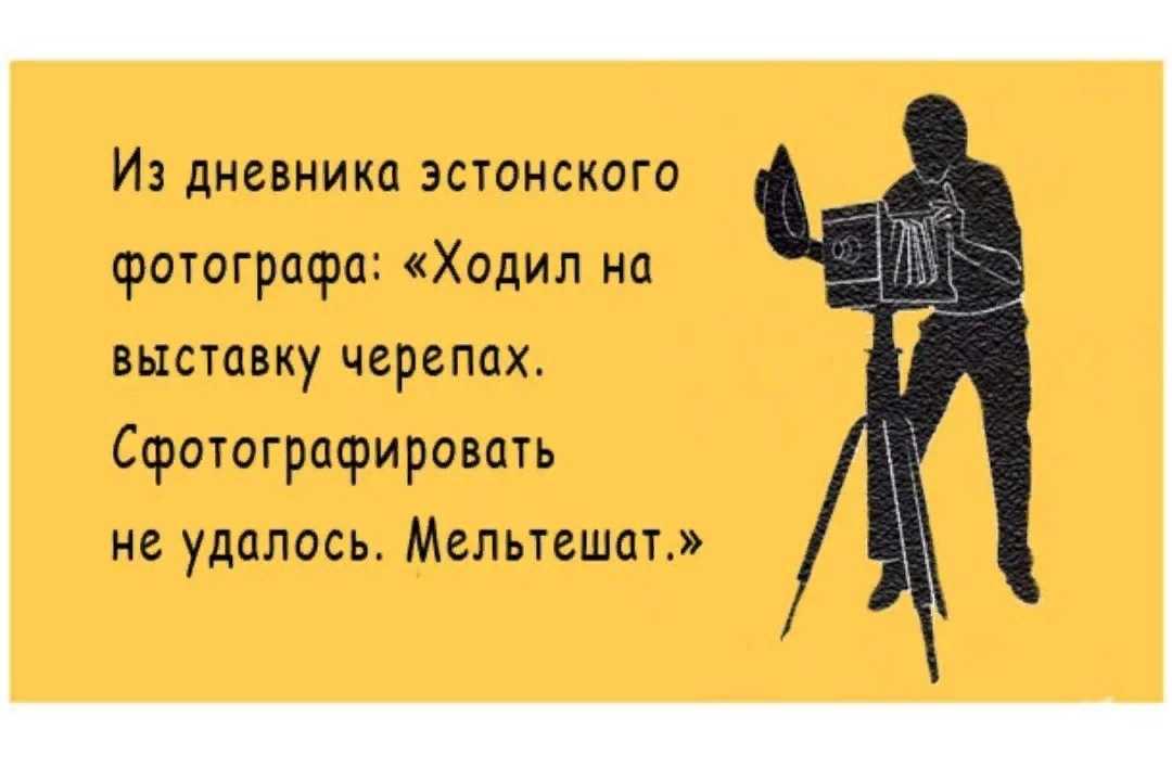 Интересные и красивые юмор, анекдоты, приколы на тему Внешность