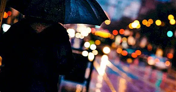 «гениальность — это одна из форм безумия». десять цитат легендарного джона леннона, которому сегодня могло бы исполниться 80
