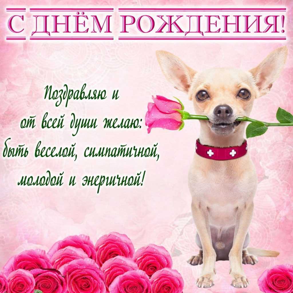Красивые поздравления в стихах на день учителя
