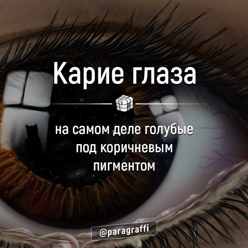 Статусы с картинками о жизни – картинки, фотостатусы про жизнь