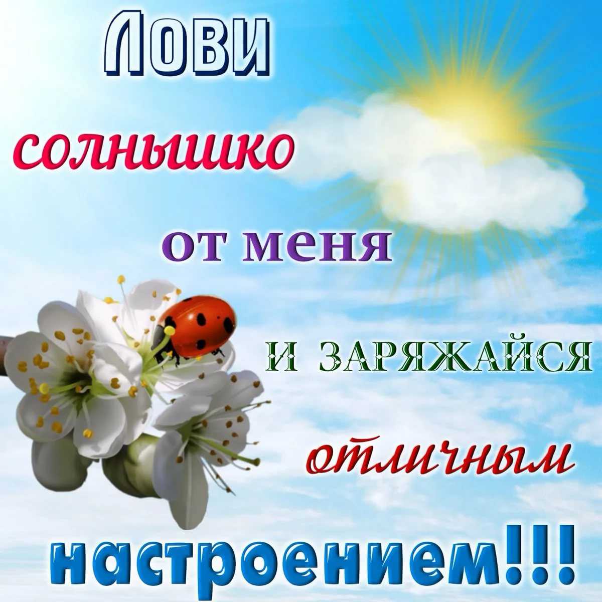 Высказывание про хорошее настроение Если солнце в душе, никакие тучки не испортят ваш день